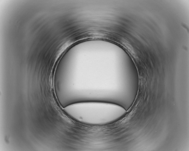 X0000095520891200712140907
