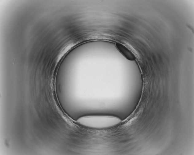 X0000095520893200712140907