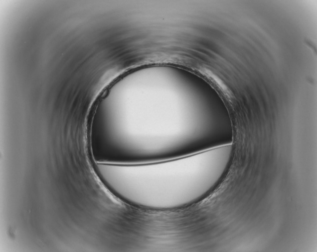 X0000095520894200712140907