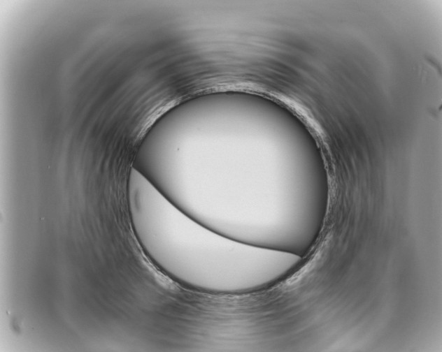 X0000095520897200712140907