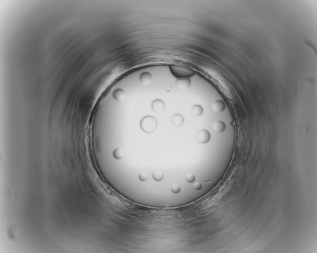 X0000095520899200712140907