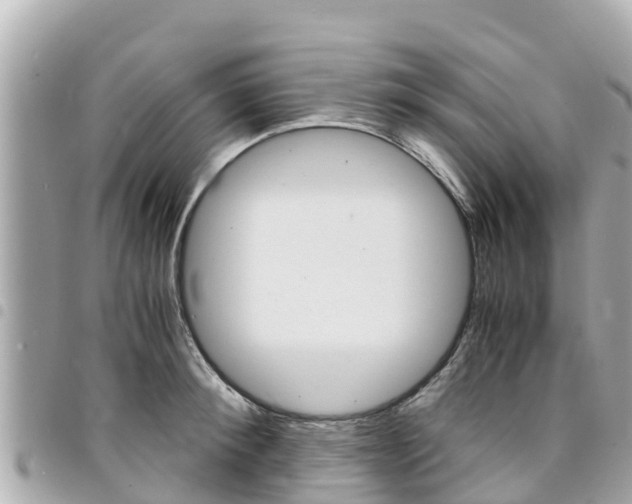 X0000095520900200712140907