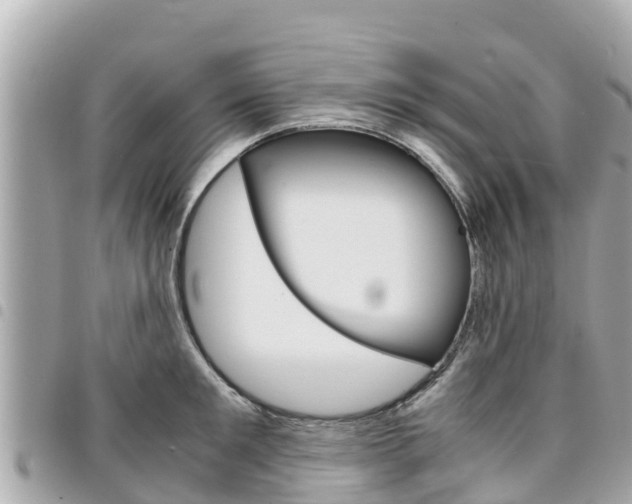 X0000095520901200712140907