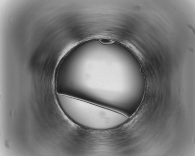 X0000095520902200712140907