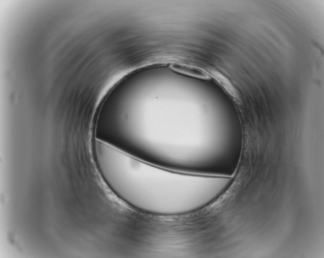 X0000095520904200712140907