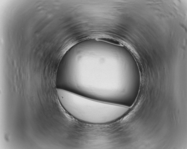 X0000095520905200712140906