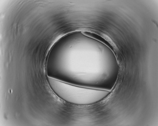 X0000095520908200712140906