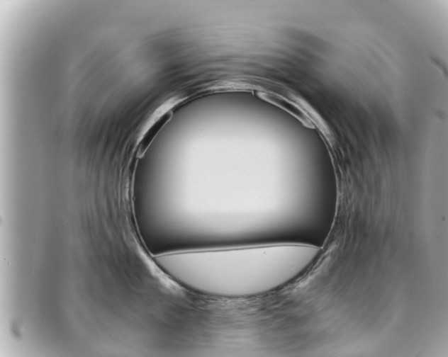 X0000095520909200712140906