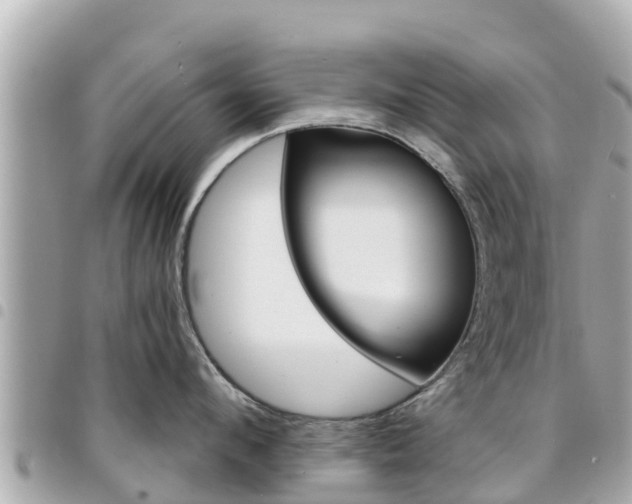 X0000095520912200712140906
