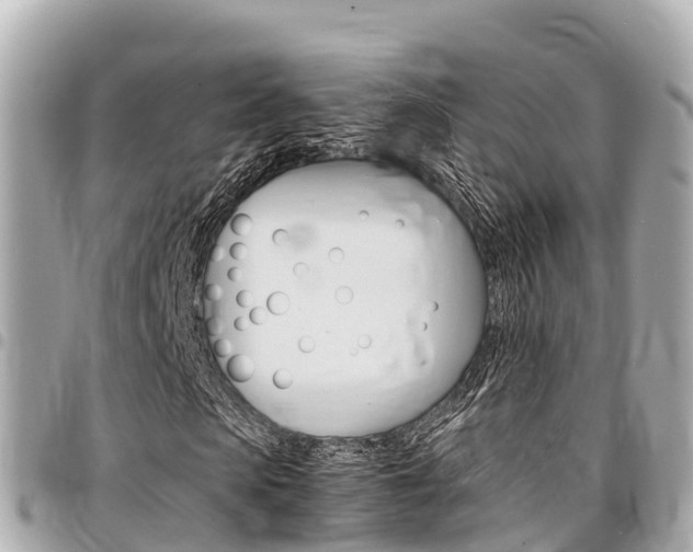 X0000095520913200712140906