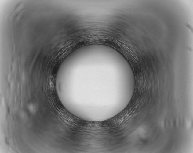 X0000095520914200712140906