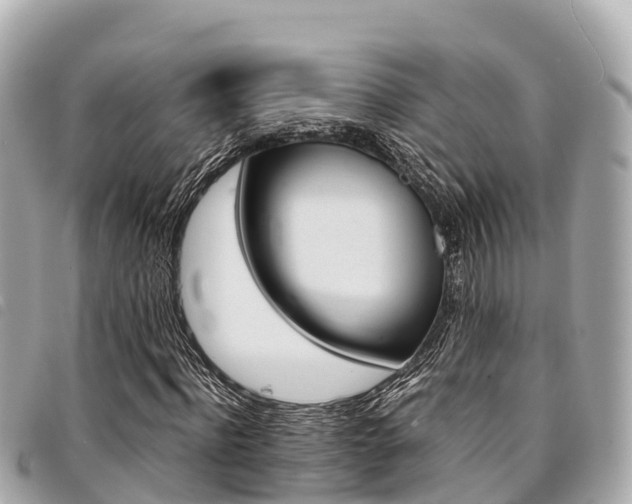 X0000095520916200712140906