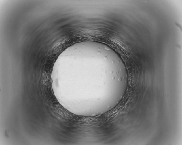 X0000095520917200712140906