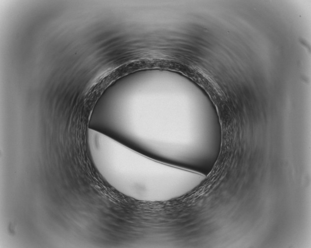 X0000095520919200712140906