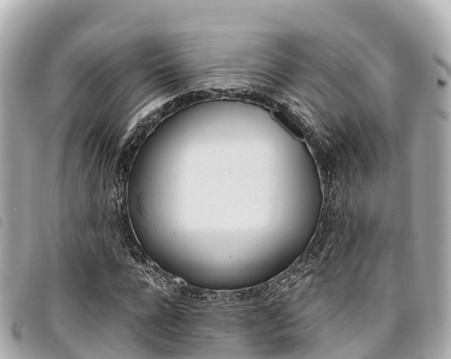 X0000095520920200712140906