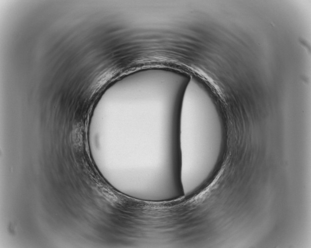 X0000095520921200712140906