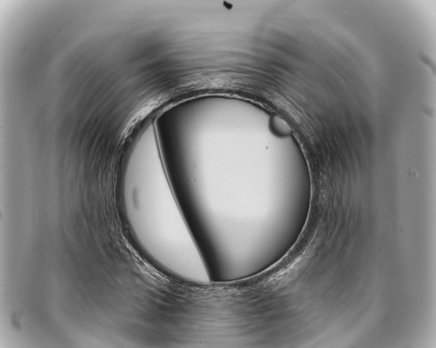 X0000095520922200712140906