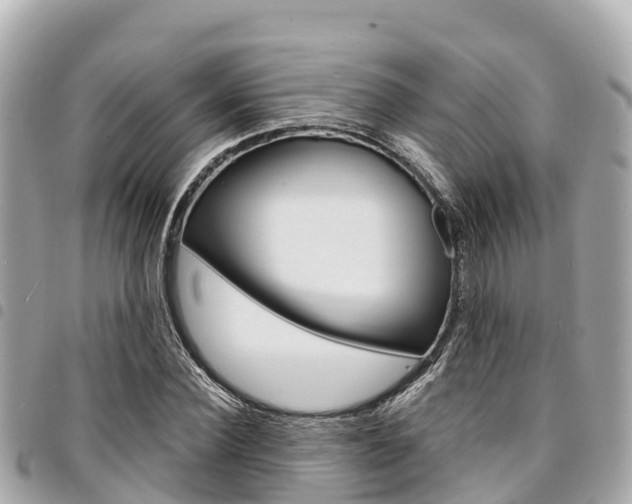 X0000095520924200712140906