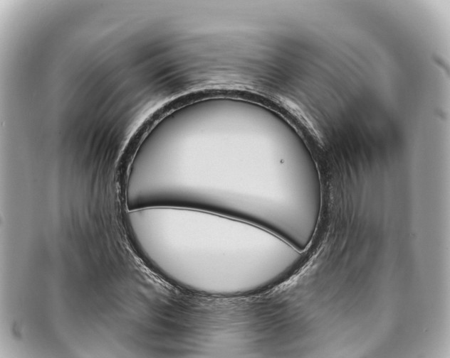 X0000095520926200712140906