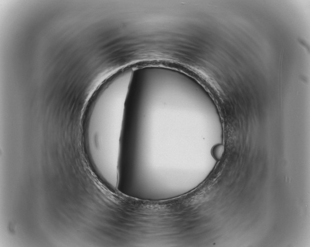X0000095520927200712140906
