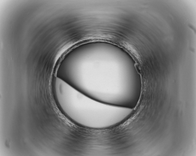 X0000095520928200712140906