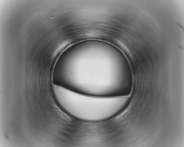 X0000095520930200712140906