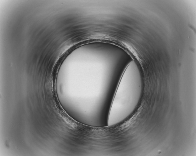 X0000095520931200712140906