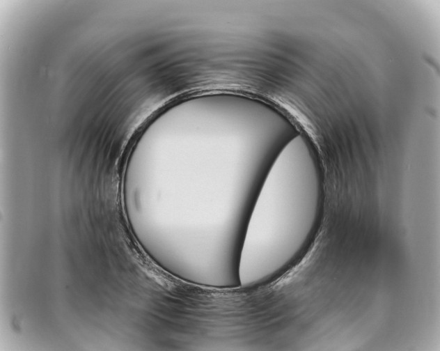 X0000095520933200712140906
