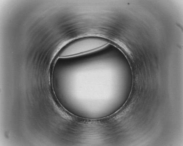 X0000095520934200712140906