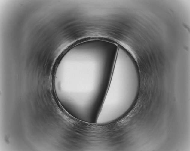X0000095520935200712140906