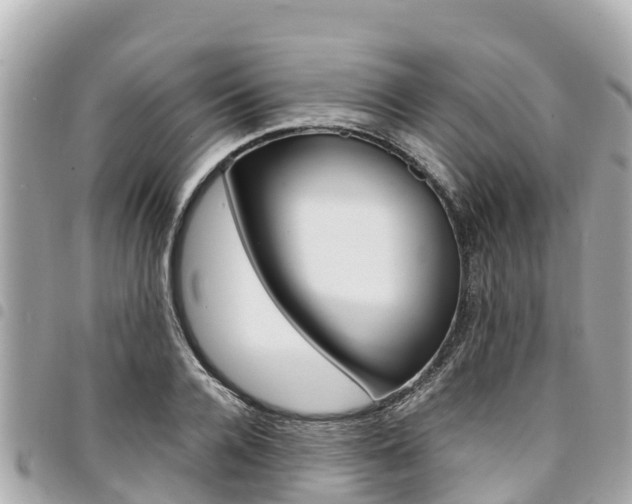 X0000095520936200712140906