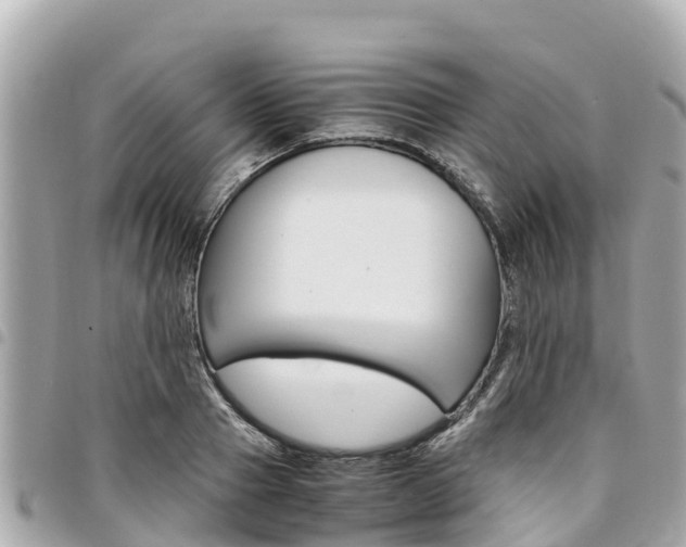 X0000095520937200712140906
