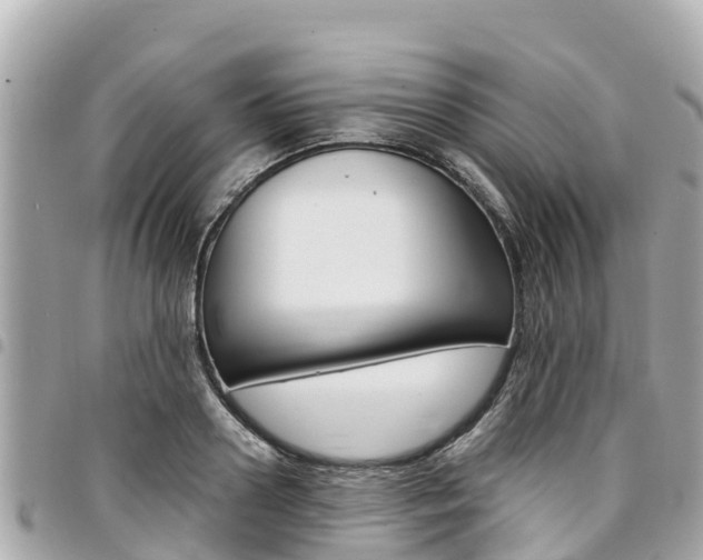 X0000095520938200712140906