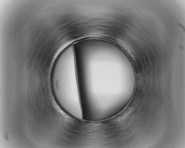 X0000095520939200712140906