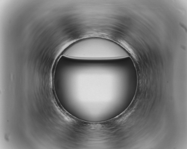 X0000095520940200712140906