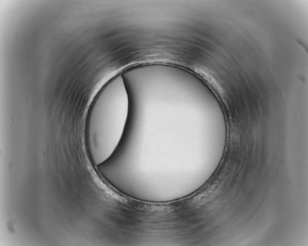X0000095520941200712140906