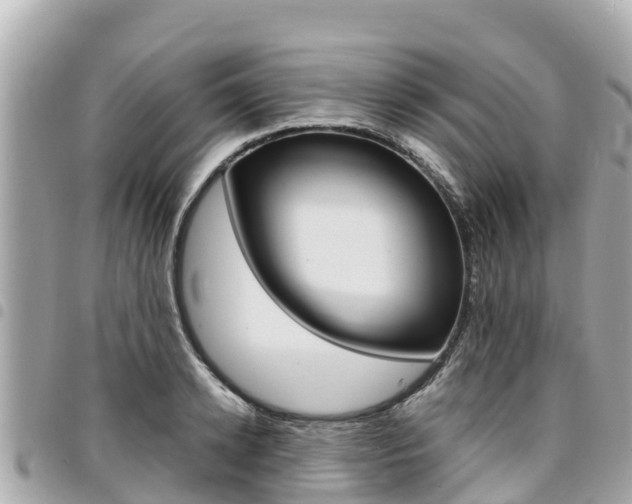 X0000095520942200712140906