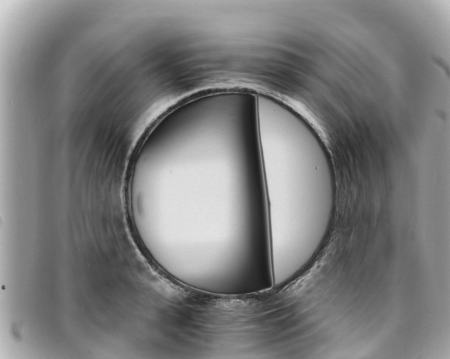 X0000095520943200712140906