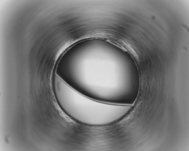 X0000095520944200712140906