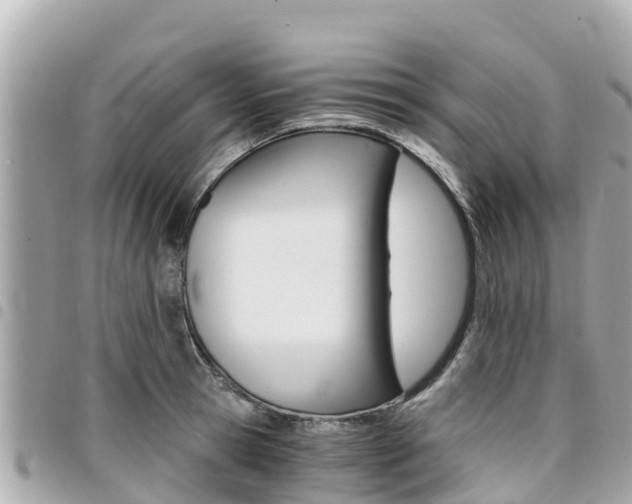 X0000095520945200712140906
