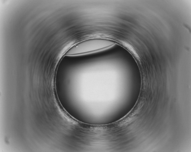 X0000095520946200712140906