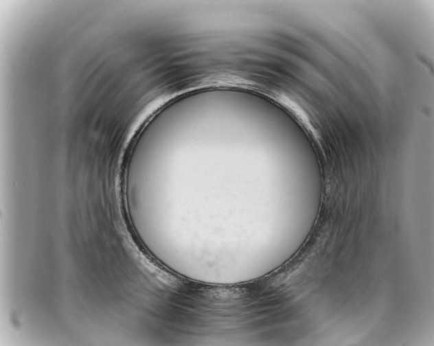 X0000095520947200712140906
