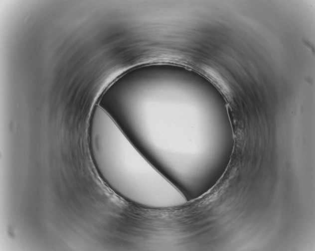 X0000095520948200712140906