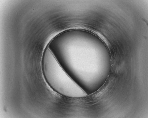 X0000095520951200712140906