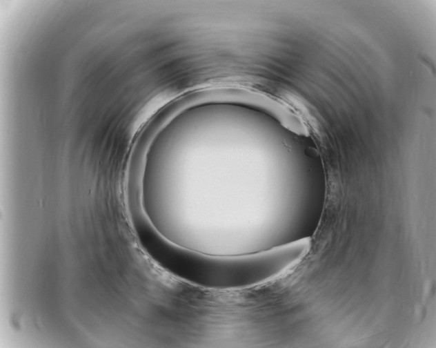X0000095520952200712140906