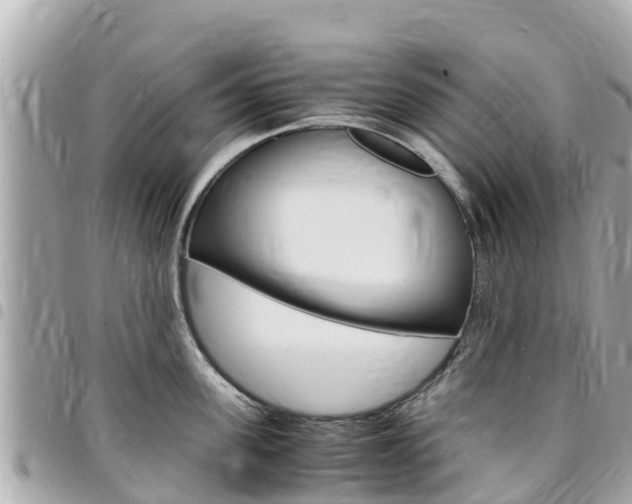 X0000095520955200712140906