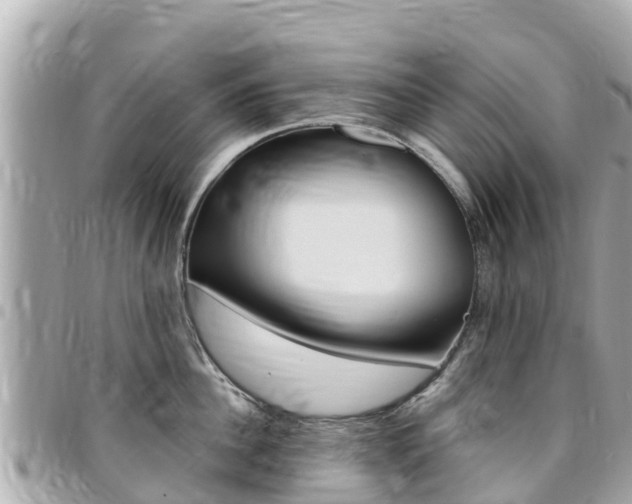 X0000095520956200712140906