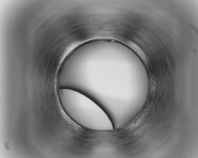 X0000095520958200712140906