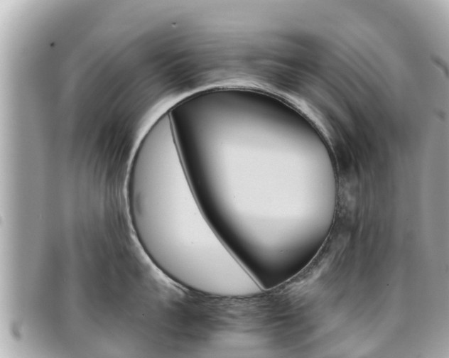 X0000095520959200712140906
