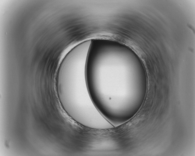 X0000095520960200712140906